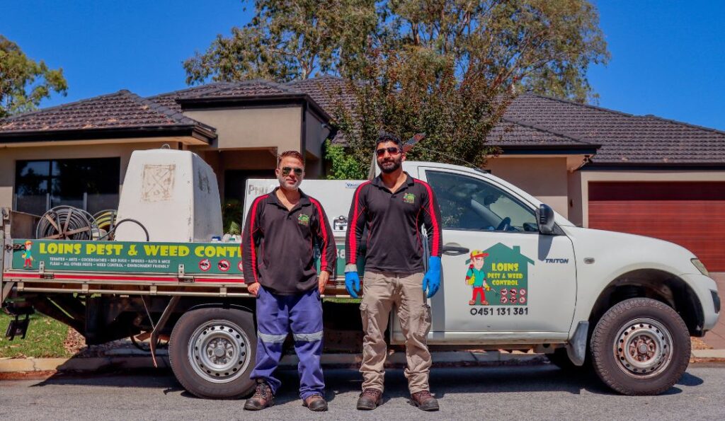 The Importance of Regular Pest Inspections for Perth Homes