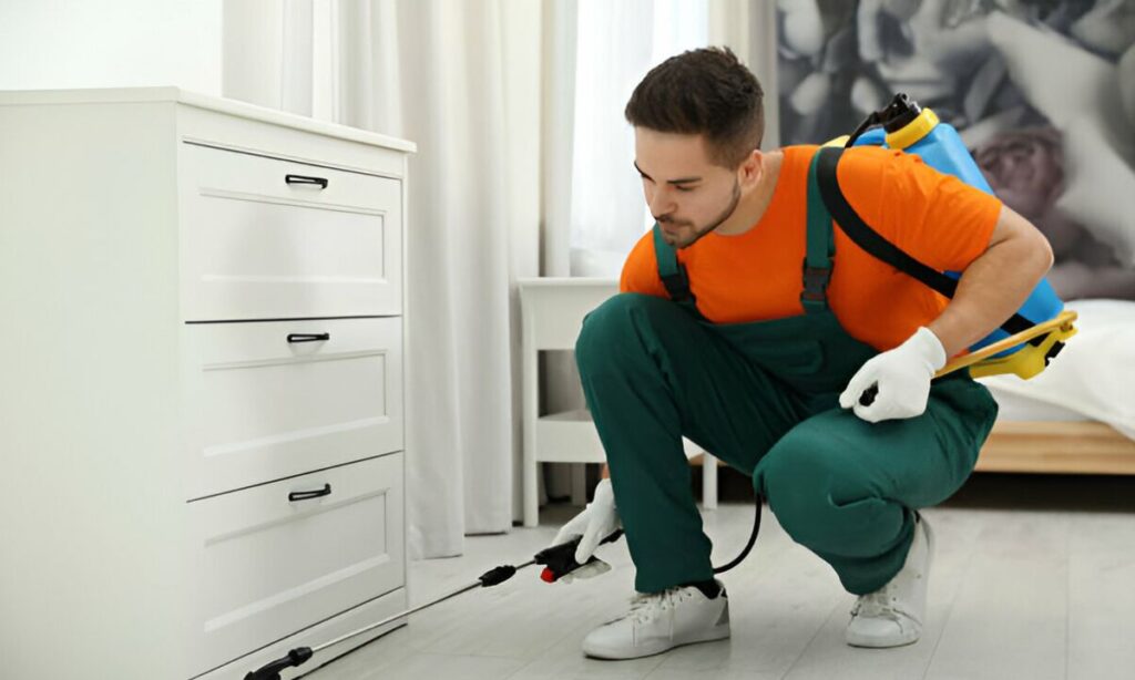 Factors Affecting Pest Control Costs in Perth