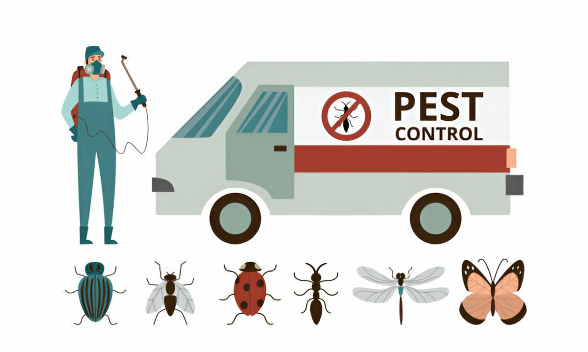 Type of Pest Control Services in Perth
