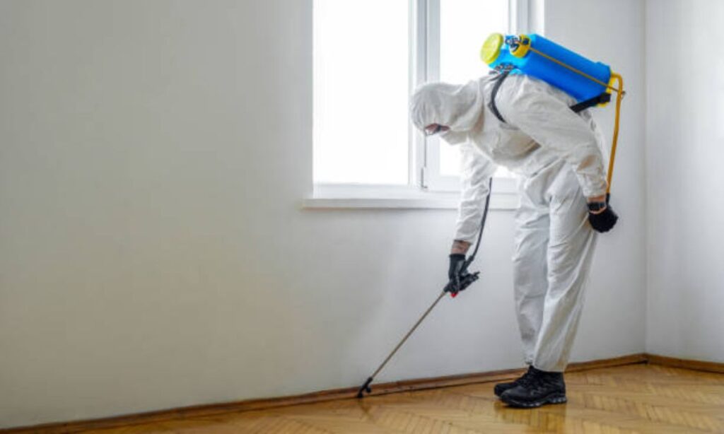 Pest Control Company In Perth