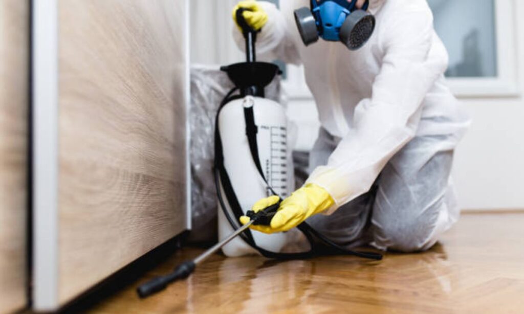 Pest Control Service In Perth